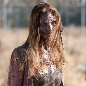 Walking-Dead[1]