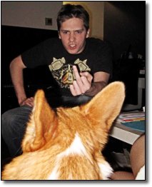 insultare il cane