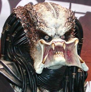 bocca predator