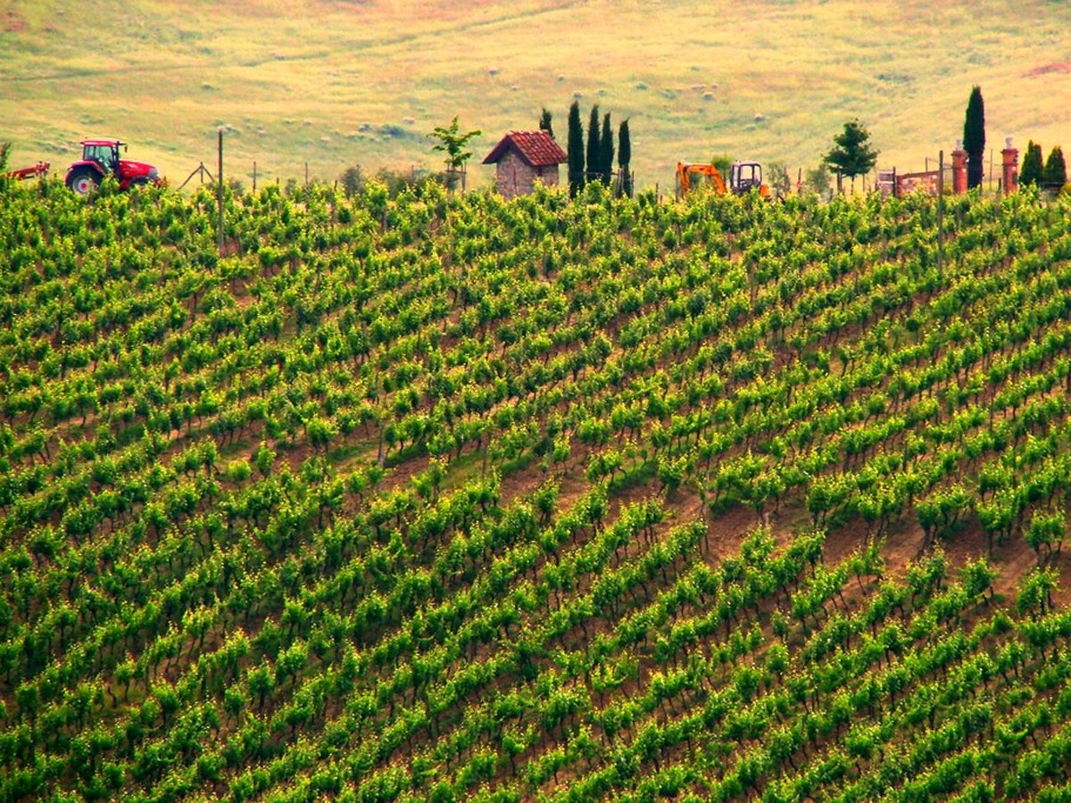 chianti