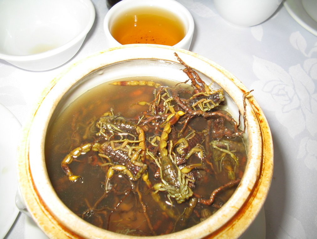 zuppa scorpioni