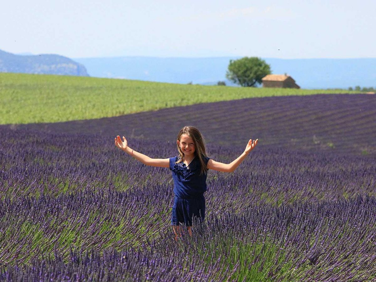lavanda
